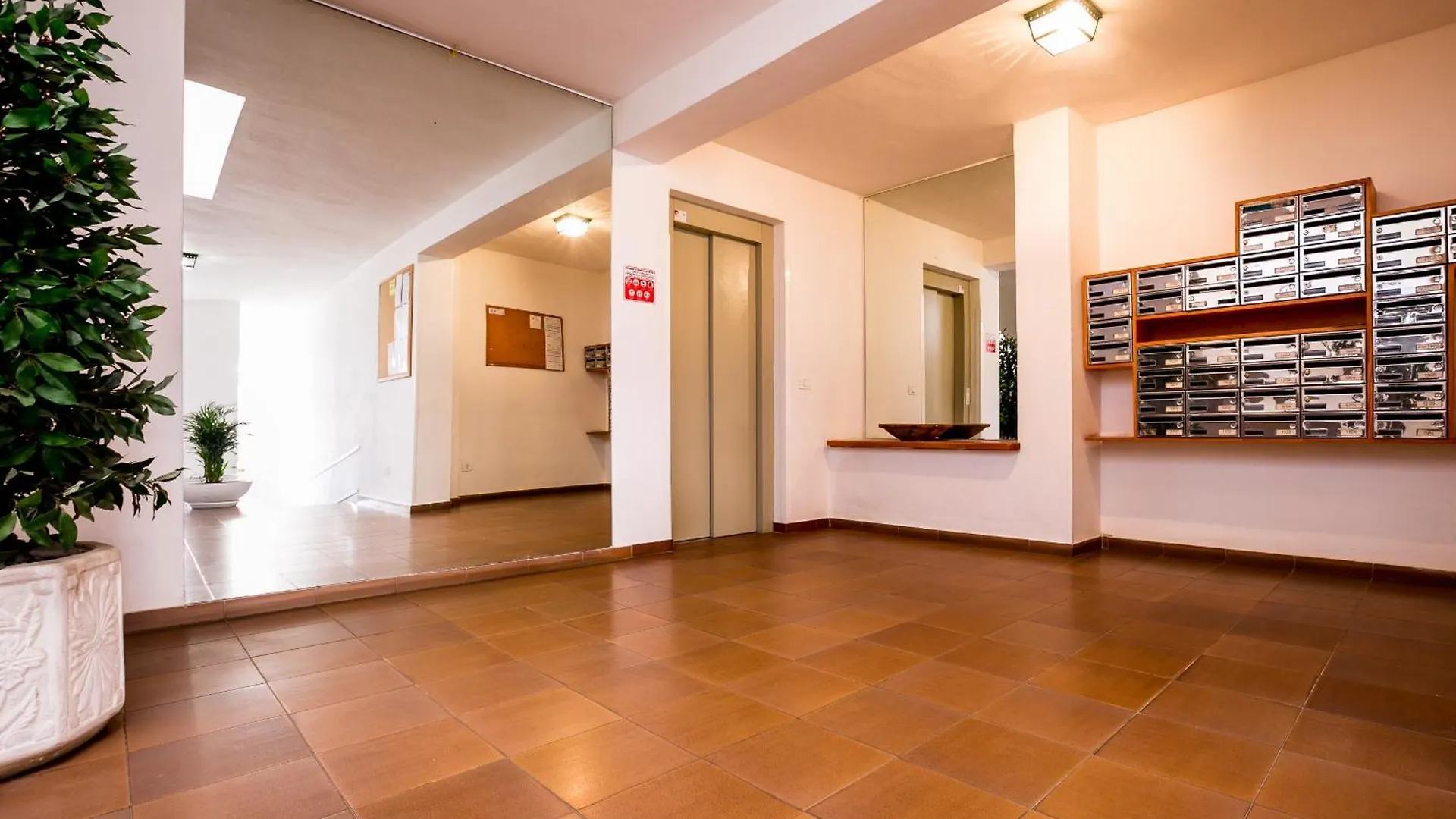 Apartment Apartmento Cactus II Los Cristianos